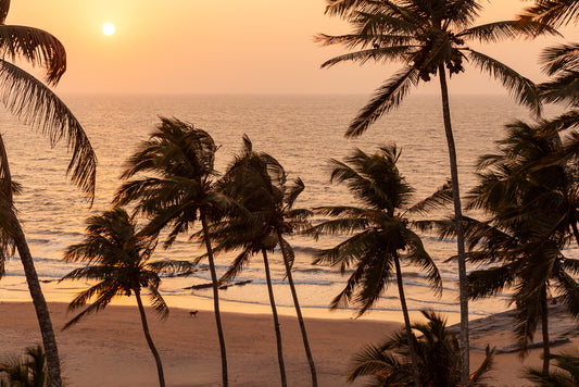 Palm trees sway gently on a sandy beach at sunset, with the sun hanging low over the horizon and casting a warm golden hue over the calm ocean waves. This tranquil and beautiful scene is perfect for tropical wall art, capturing the essence of Golden Beach by FN Prints photography.