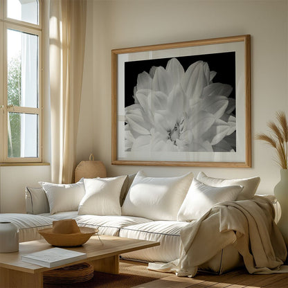 White Dhalia